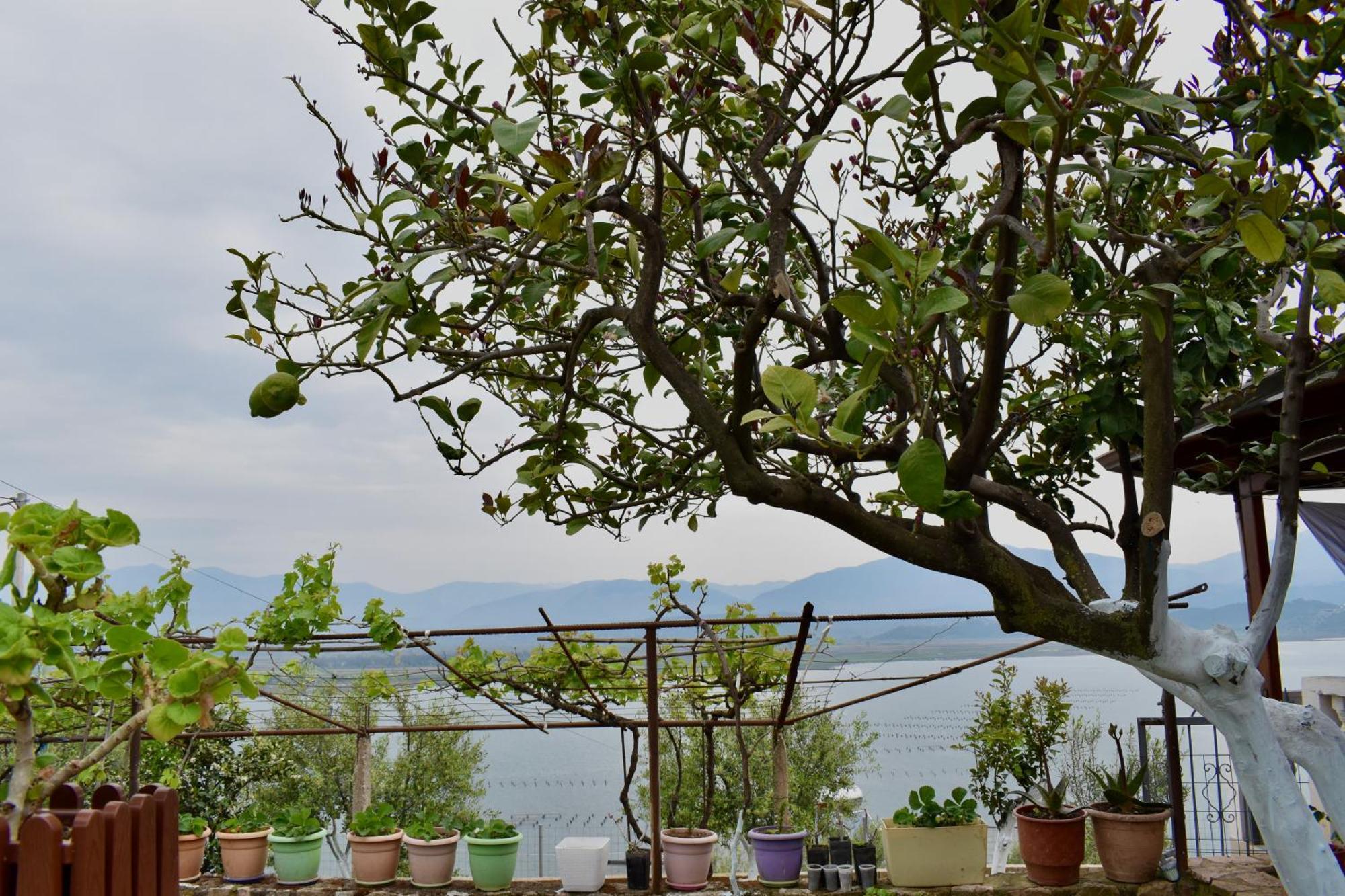 Ksamil Sea&Lake View Escape Kültér fotó